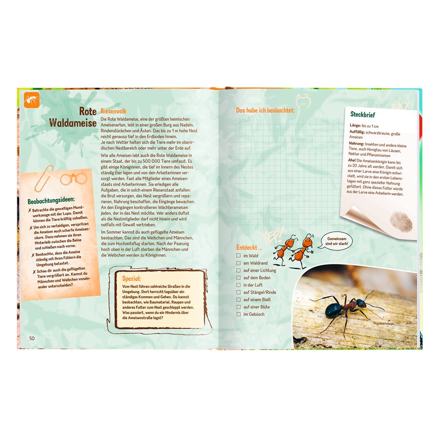 Die Becherlupe, Buch Die Welt der kleinen Tiere ganz gross