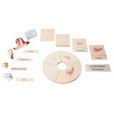 119.116.500 - Lebenszyklus Schnecke in der Holzbox