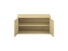 Pureo Doppeltürenschrank Furnier, mit 1 Einlegeboden, B 100 x H 50 x T 60 cm