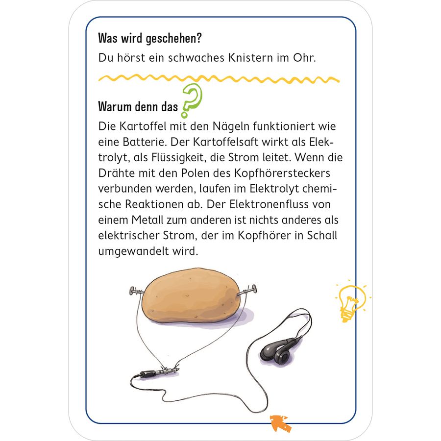 PhänoMINT 75 supercoole Experimente