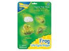 Lebenszyklus Frosch
