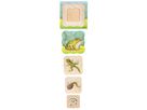 Lagenpuzzle Frosch