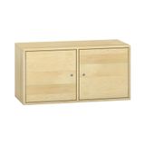 444.014.127K - Pureo Eigentumsschrank mit 2 abschliessbaren Fächer, Furnier
mit 2 Einlegeböden und Mittelwand
B 100 x H 50 x T 42 cm