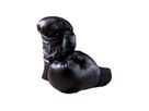 Boxhandschuhe 6 oz (5-8 Jahre)