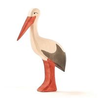 Storch