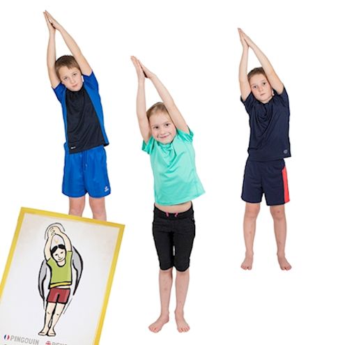 PedaYoga Lehrer-Karten