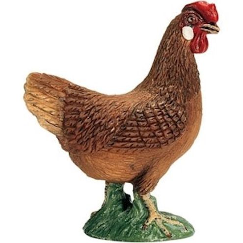 Huhn braun