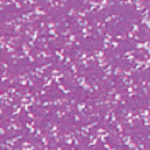 Lyra Farb-Riesen lila, 12 Stk.