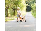 Buggy TopTrike