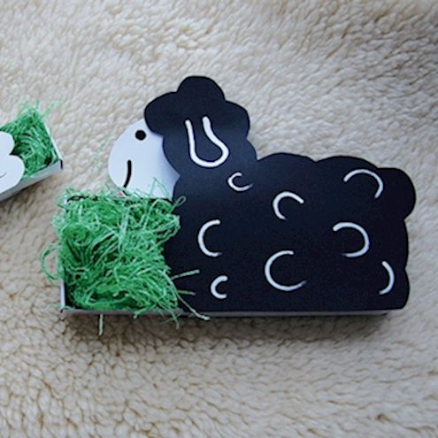 Streichholzschachteln gross, 12 Stück