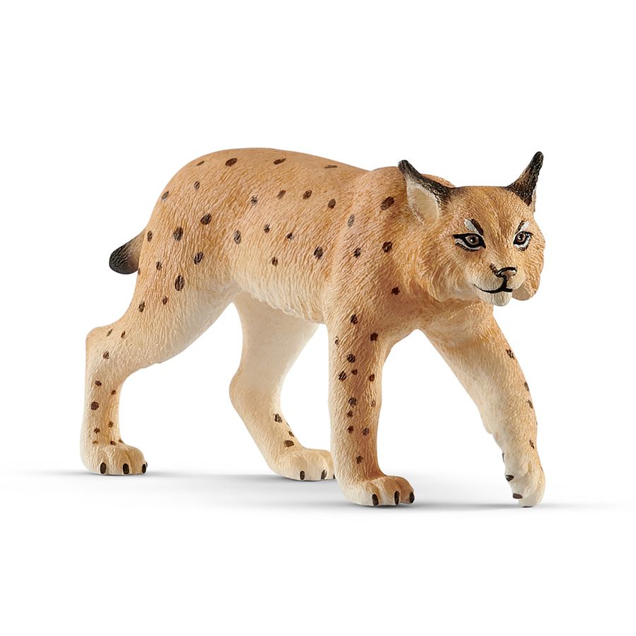 Luchs