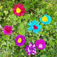 Krepp-Papier-Blumen