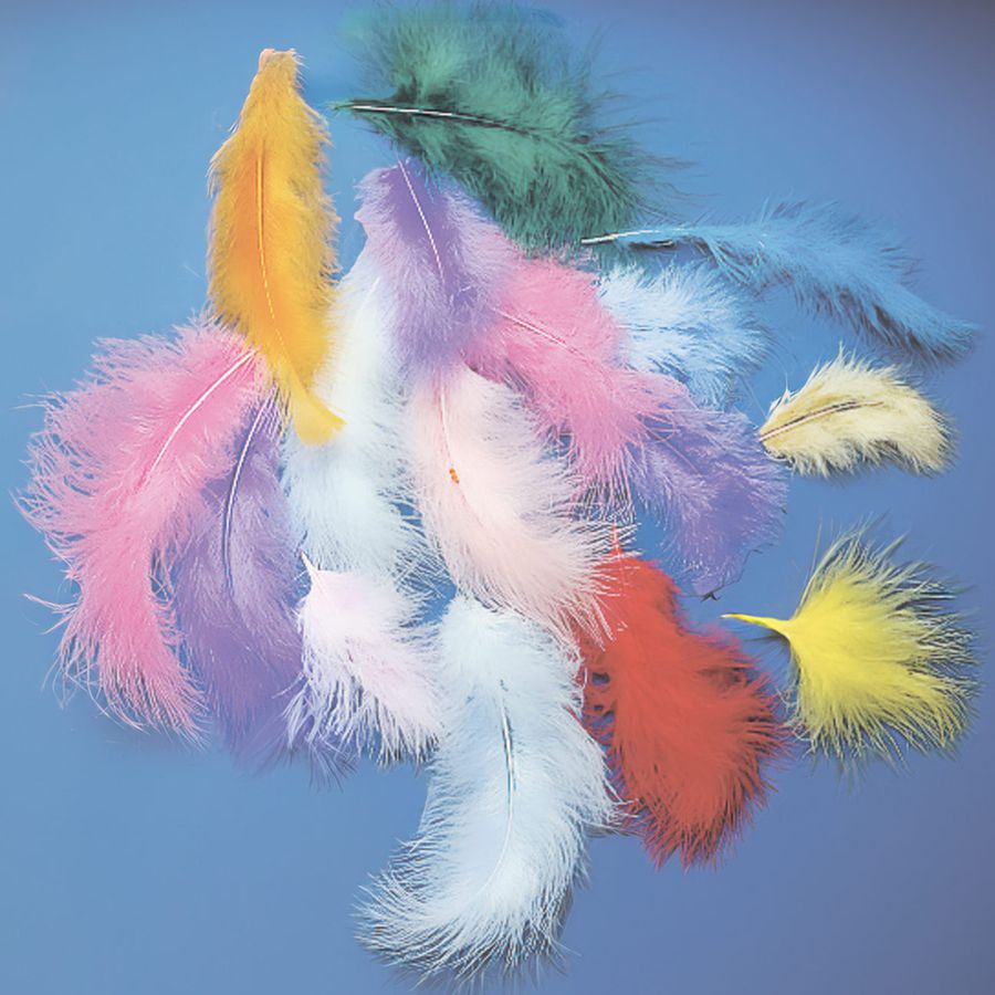 Putenfedern bunt