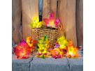 Leuchtende Herbstblätter