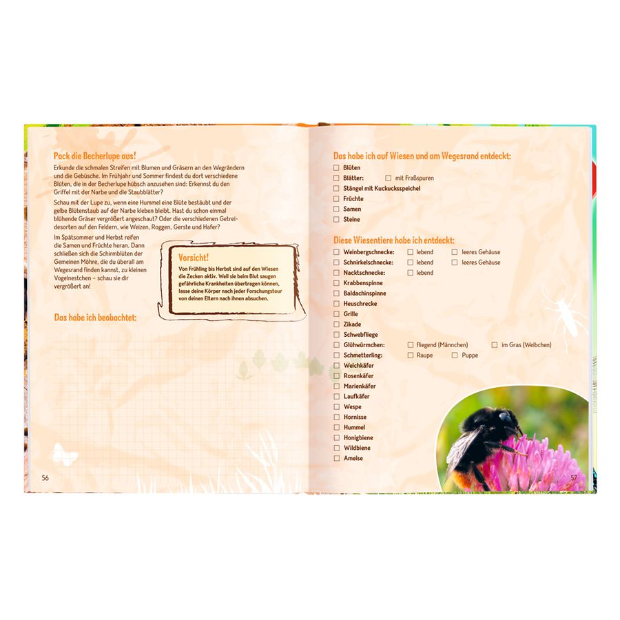 Die Becherlupe, Buch Die Welt der kleinen Tiere ganz gross