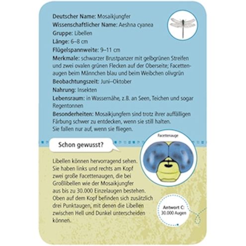 50 heimische Insekten/Spinnen, Lernkarten