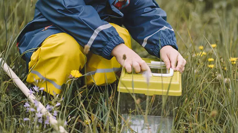 Biodiversität entdecken