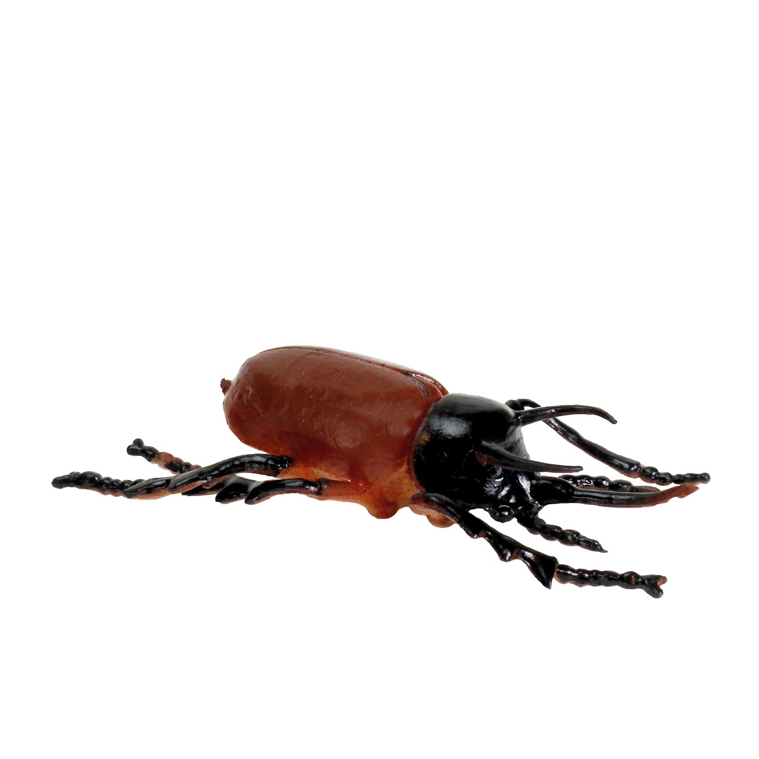 Modell Insekten & Co.