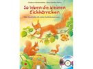 So leben die kleinen Eichhörnchen
