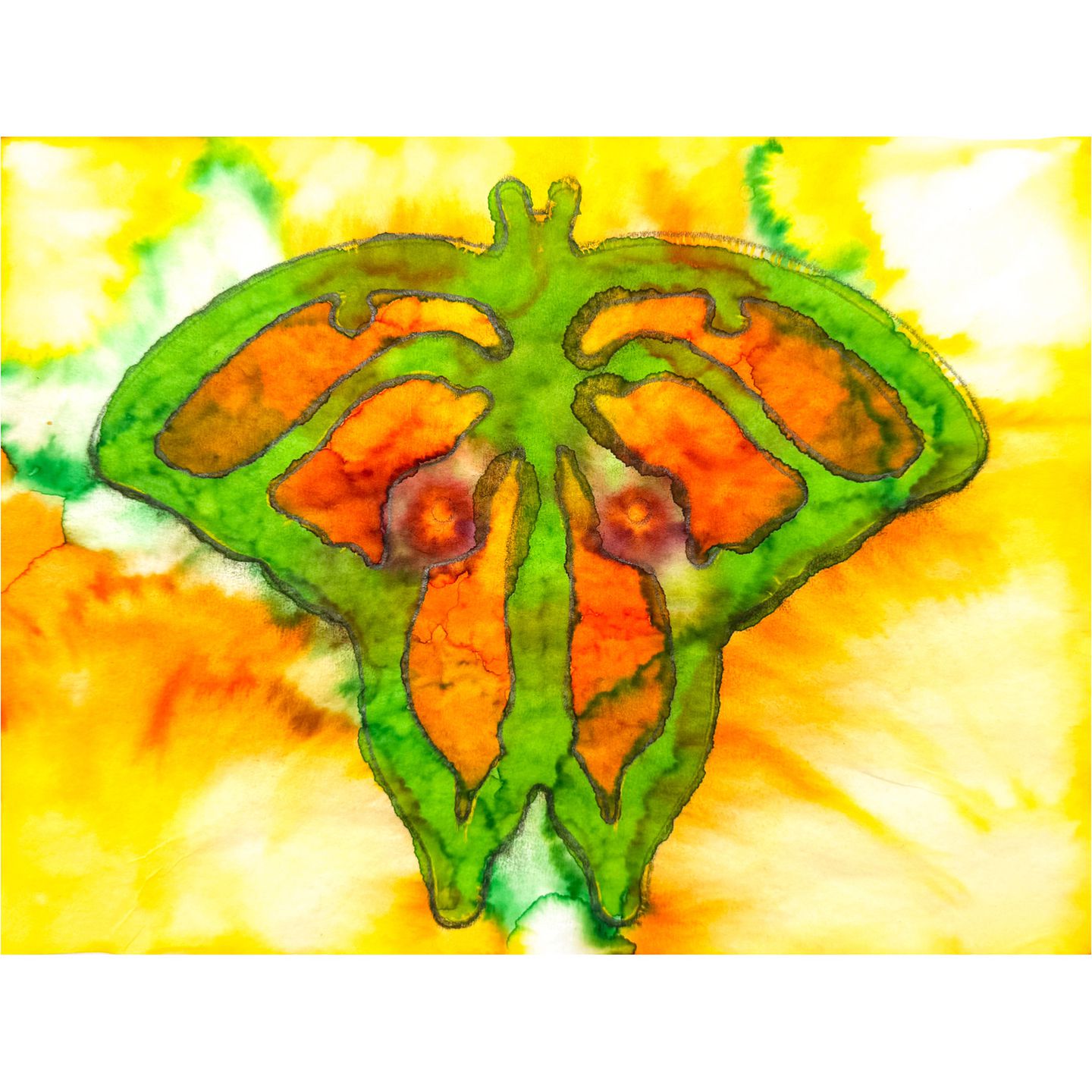 Schablonen Schmetterling