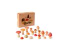 Mushroom Grove
