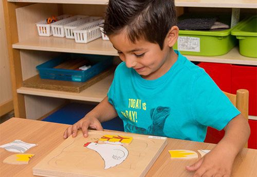 Educo Puzzle