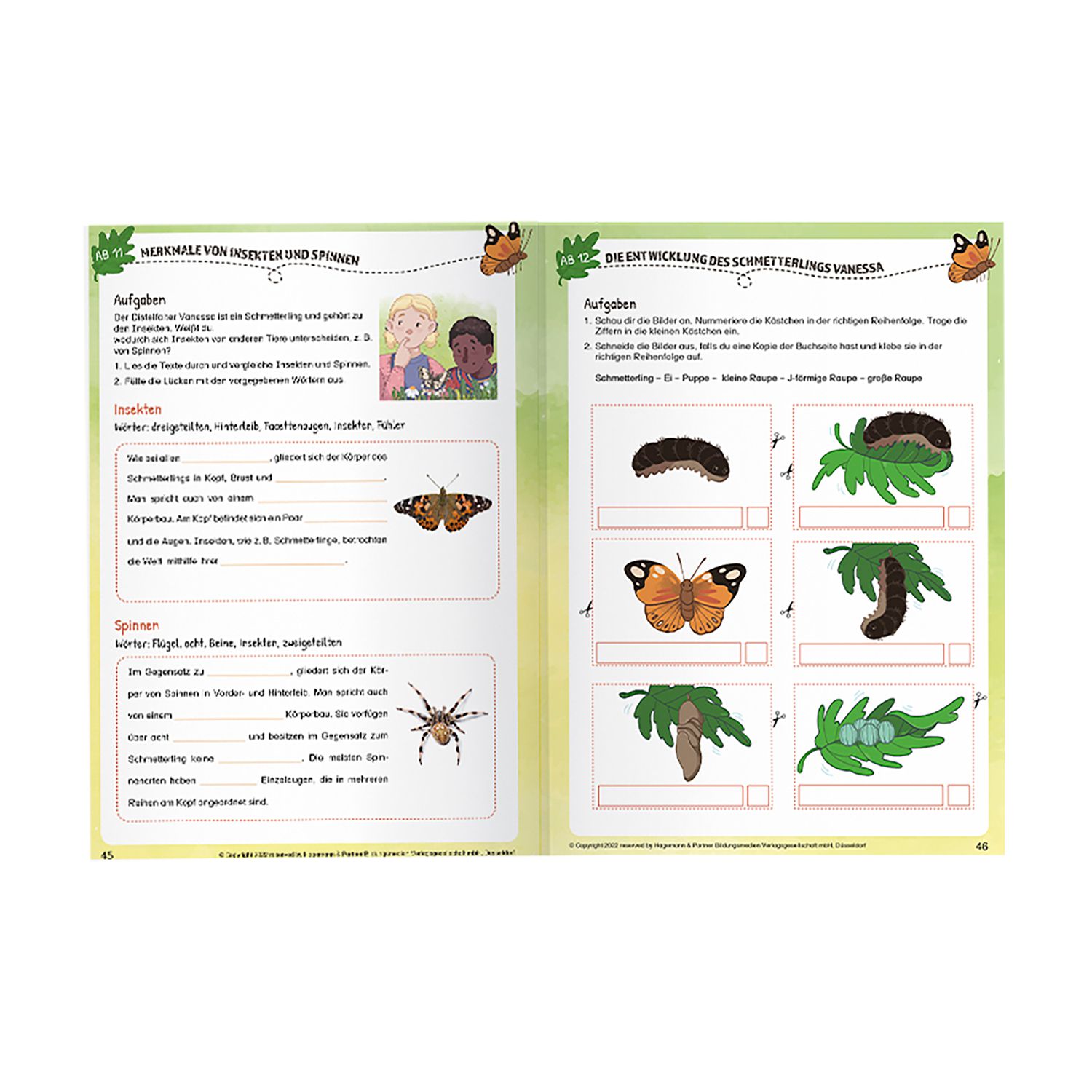 Pädagogisches Kinderbuch "Lou, Lisa und die Schmetterlinge – Eine aufregende Verwandlung"