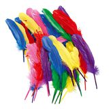 119.121.500 - Federn bunt, 20 cm