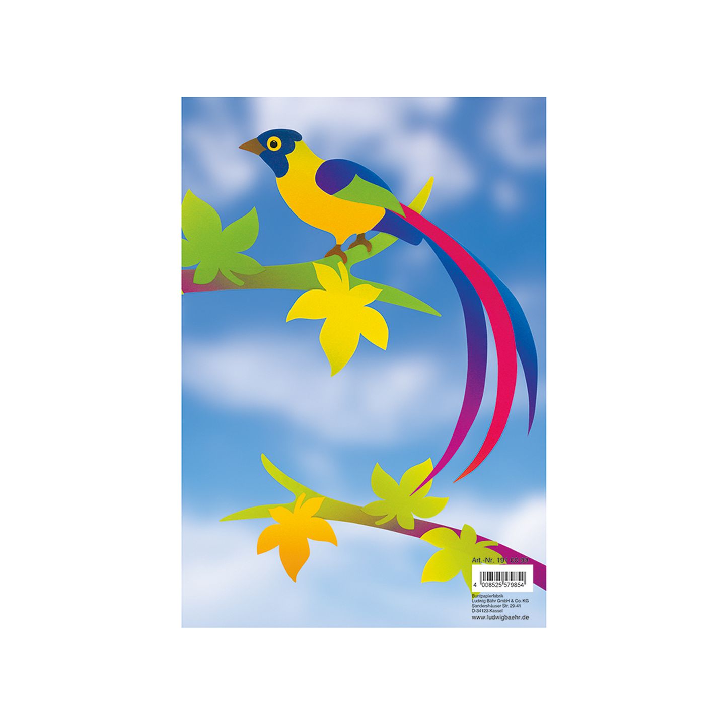 Regenbogenpapier 23 x 33 cm 10 Blatt