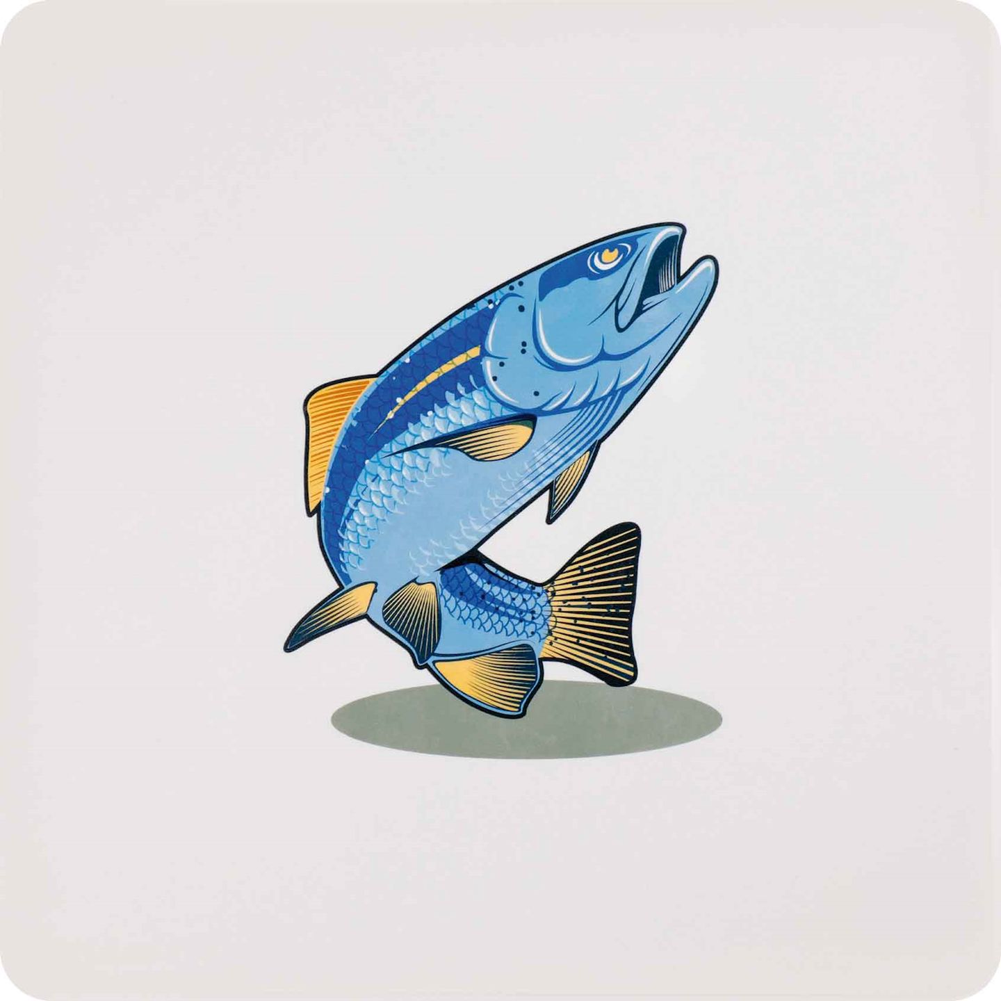 Fühlkarten, 6er Set