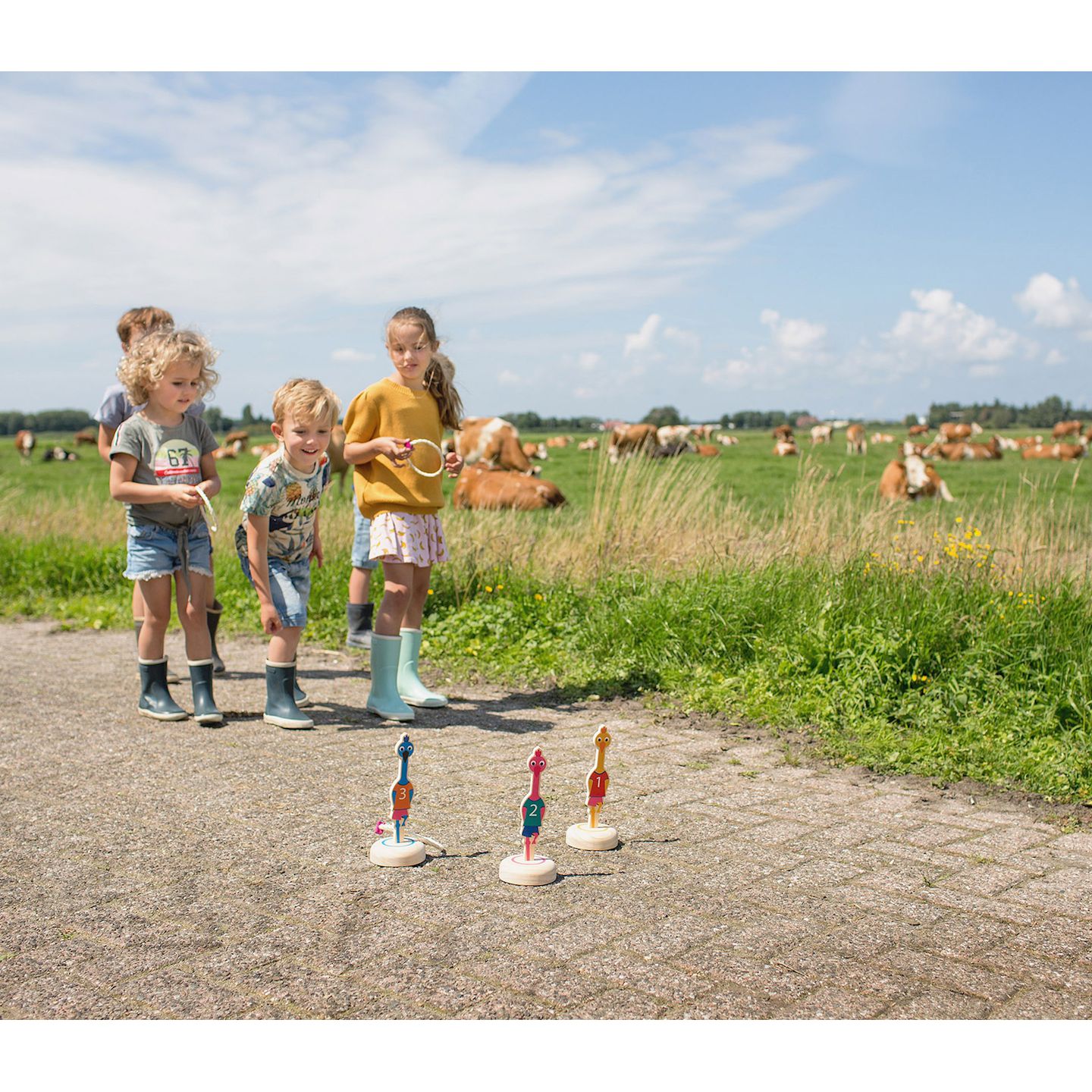 Ringwurfspiel Vögel