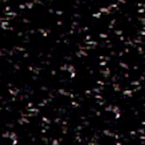 Lyra Farb-Riesen schwarz, 12 Stk.