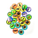 230.001.300 - Bunte Drachenaugen Acryl selbstklebend, 30 Stk.