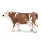 102.306.700 - Kuh braun-weiss