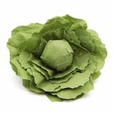 103.320.600 - Salatkopf