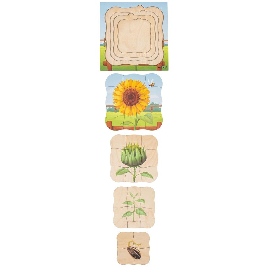 Lagenpuzzle Sonnenblume
