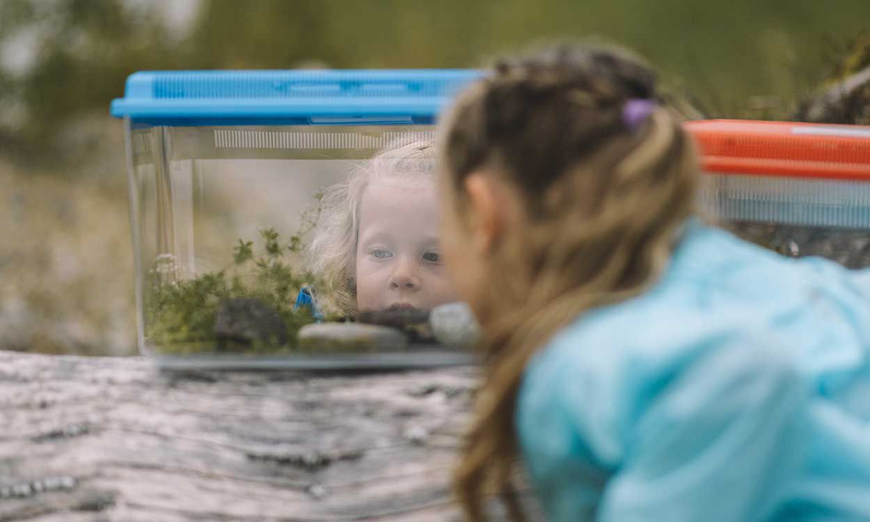 Erlebnisorientiertes Lernen in der Natur