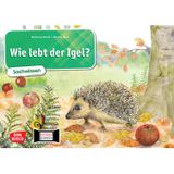 103.529.200 - Wie lebt der Igel – Kamishibai Bildkarten