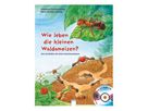 Wie leben die kleinen Waldameisen?