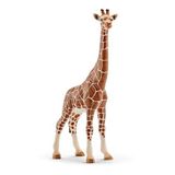 102.316.300 - Giraffe
