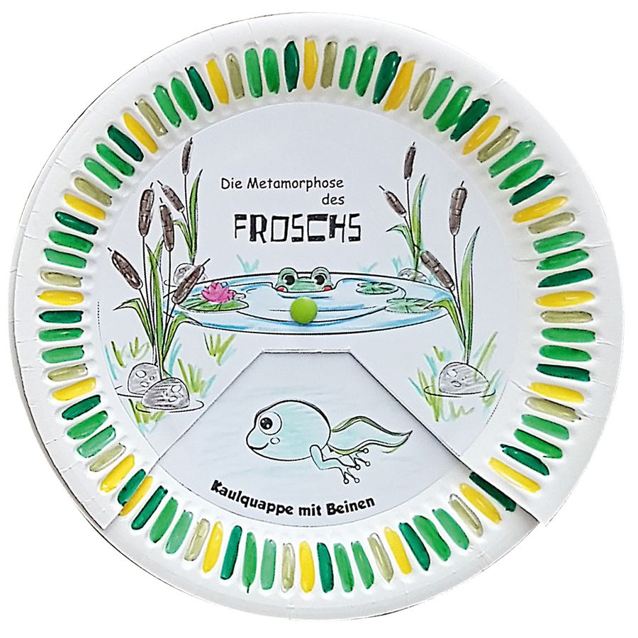 Metamorphose des Froschs