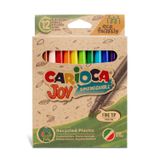 310.200.500 - Joy Filzstifte Eco, 12 Stück