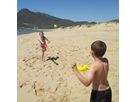 Scoop Ball