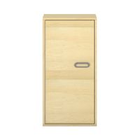 Pureo Türenschrank, Griff rechts, Scharnier links, Furnier
mit 2 Einlegeböden
B 50 x H 100 x T 42 cm