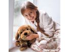 Therapie-Hund Theo