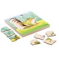 Lagenpuzzle Frosch