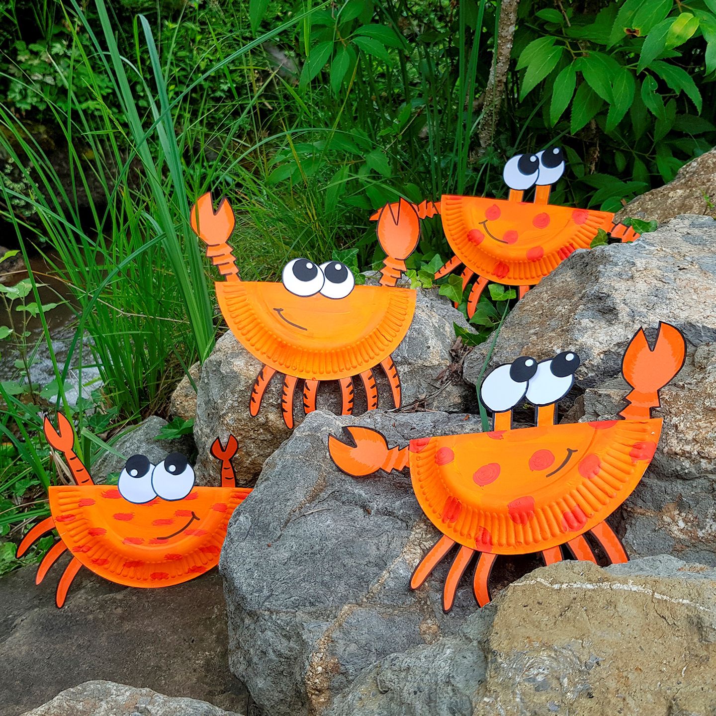 Pappteller Ø 18 cm, 100 Stk.