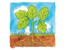 Schichtenpuzzle Baum, 44 Teile