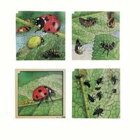 Lagenpuzzle Marienkäfer, 86 Teile
