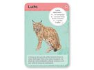 50 heimische Wald- & Wildtiere Lernkarten